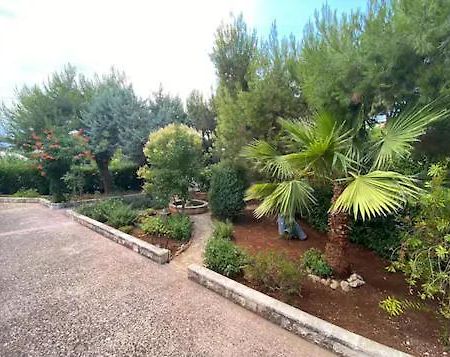 Villa Adelaide سيغلي ميسابيكا المظهر الخارجي الصورة