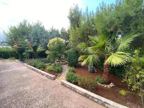 Villa Adelaide سيغلي ميسابيكا المظهر الخارجي الصورة